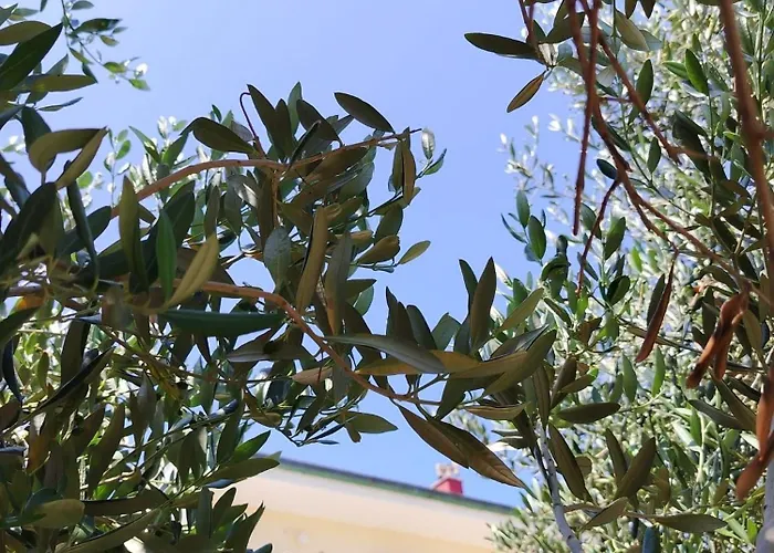 Apartamento With Parking Spaces Losinj, Losinj - 24690 *